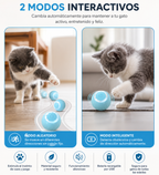 Pelota inteligente para tu mascota